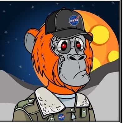 PEDRODESOUTOJU1's profile picture. Explorador DEFI