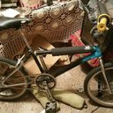 eric abelson - @AbelsonEric - Twitter