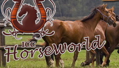 IccHorseworld's profile picture. 