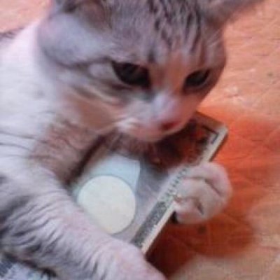 w2ffle's profile picture. @uuuunnniii ✘ @sy____ye ✘ @kaoswetto