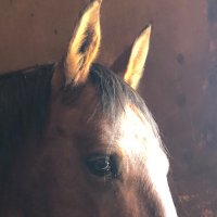 Val teke (@tekeval) 's Twitter Profile