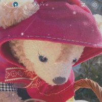みぃ🐻 (@mn3nm3mn) 's Twitter Profile Photo みぃ🐻 (@mn3nm3mn) 's Twitter Profile Photo