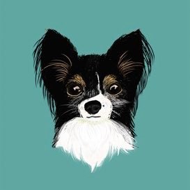 toriさんのプロフィール画像