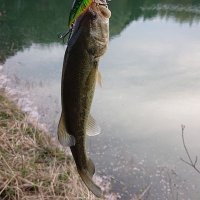 RizaMustang (@rizamustang4) 's Twitter Profile