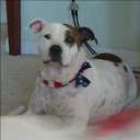 shelly hoffmeyer - @shellylee07 - Twitter