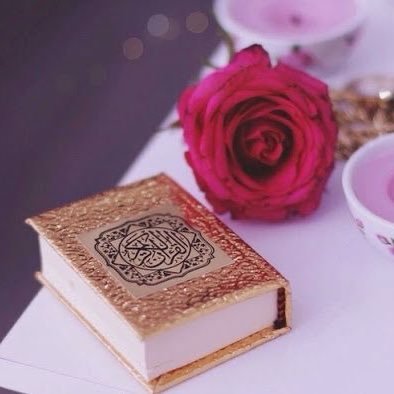 Tahome5's profile picture. sh