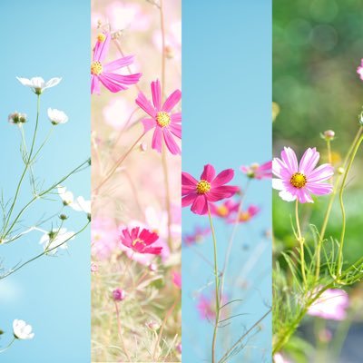 hiro01044810's profile picture.