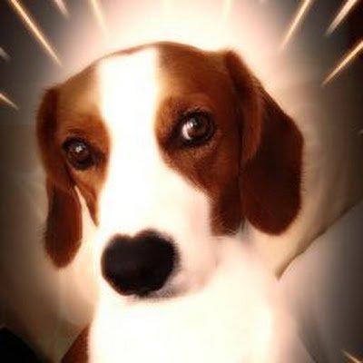 Nicolas82805811's profile picture. 