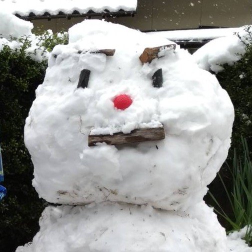 emIpl7OLaoSsSqA's profile picture. 最近ガンプラ作製が楽しい