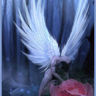 WAngel2k6W's profile picture. 
