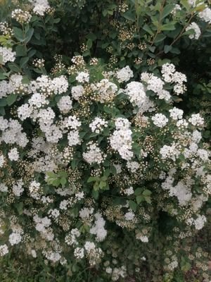 Mariann23597685's profile picture. 