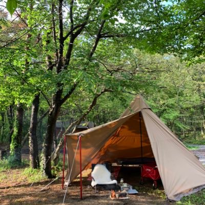 ソロキャンプにハマった弁当女子🏕 2020年秋から始めて4年目突入。ソロ生活=一人暮らしはベテランの域。弁当&家計簿ルーティンは蓄財のため👛目指すは2025年でFIREして占い師デビュー🔮 #6月まで短期ドミトリー暮らし中 #キャンプ好きと繋がりたい