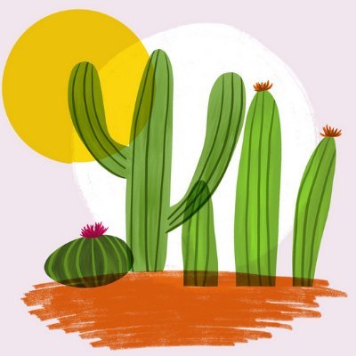 aliciadev_'s profile picture. Learning HTML + CSS + JavaScript