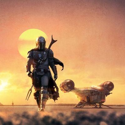 BhanuPr1106's profile picture. Human¶ @sunrisers