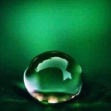 mm8jnwvkhh_van's profile picture. Just for fun