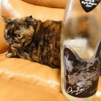 ともっち (@tomocchida) 's Twitter Profile