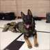 Jeff (@k9ike48_jeffrey) Twitter profile photo Jeff (@k9ike48_jeffrey) Twitter profile photo
