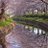 true_riviere