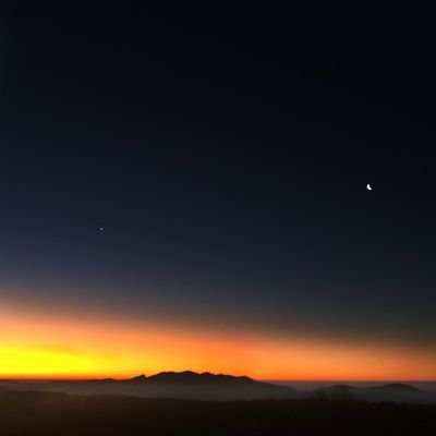 LongestYard2021's profile picture. 研究筋膜系统、研究情感与认知链、研究动力链
