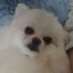 Eileen Middleton (@eileenyuki18) Twitter profile photo Eileen Middleton (@eileenyuki18) Twitter profile photo