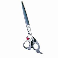 美容師✂️さあ💇🐈🐈‍⬛🐾チーム・エイカーズ🌺 (@hairstylist_saa) 's Twitter Profile Photo