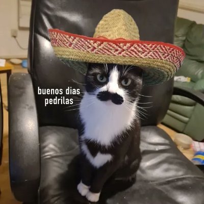 Olexy86588471's profile picture. 