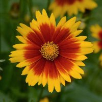 McCutcheon High School Principal (@mhsmavprincipal) 's Twitter Profile Photo McCutcheon High School Principal (@mhsmavprincipal) 's Twitter Profile Photo