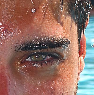 Dav4yd's profile picture. Chasseur de vampires au pays des bisounours. Protéger et Servir 🚔. 
Éducateur animateur Handball 🤾. Idéaliste chronique.
@AS_Monaco @FCFNEP @CanadiensMTL