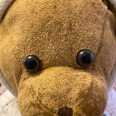 ppphama's profile picture. Customer Engineer, @googlecloud_jp. All views and opinions are my own, not my employer’s. 夢はラプンツェルになること。