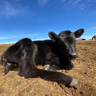 farmkid