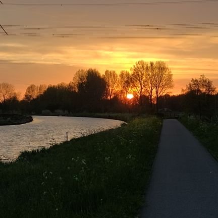 SridharBbl's profile picture. Project manager IT
Born from Andhrapradesh, vizianagaram,Bobbili, Enthusiast in Farming