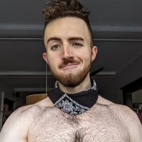 David (@himbo_logic) 's Twitter Profile