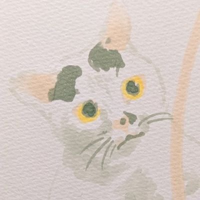 geshikuさんのプロフィール画像
