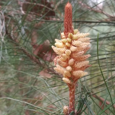 vastinmeta's profile picture. #web3