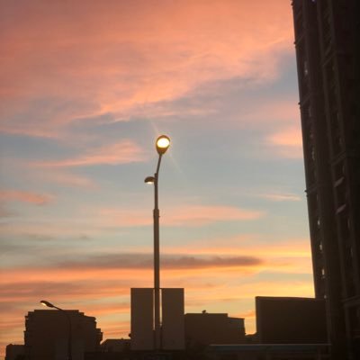 lein29211427's profile picture. 