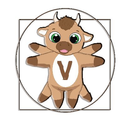 Vitruvimal is a decentralized charity project to help animals in need around the world