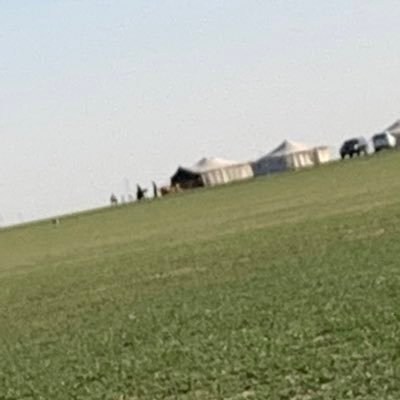 accentmop's profile picture. BAE السعوديه