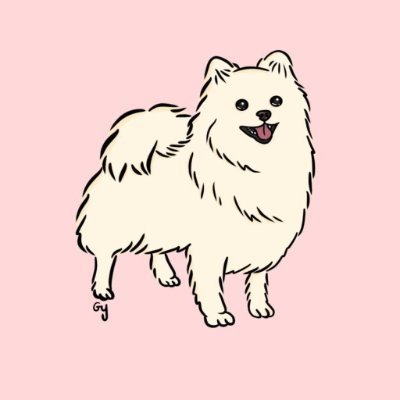 cutedog_6600's profile picture. cocokoko coin master!
I want a moonbird!!!
friend of @gabrielleydon @igorlenterman