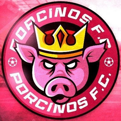 Cuenta de los ultras/barras del Porcinos FC | 
Somos críticos pero amamos al club y alentamos hasta el final🐷❤ | Ganen o me voy.