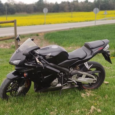 oriolbd's profile picture. 