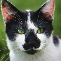 Ali Angel (@aliange38627286) 's Twitter Profile Photo Ali Angel (@aliange38627286) 's Twitter Profile Photo