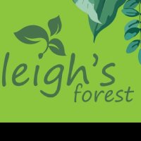 Leigh's Forest School and Outdoor Learning(@Leighsforest) 's Twitter Profile Photo