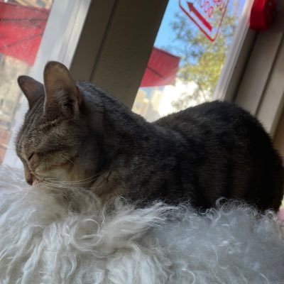 chichunya's profile picture. 