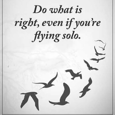 AmKirann's profile picture. Techie