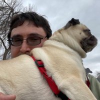 Pug Support System(@CaptYoss156) 's Twitter Profile Photo