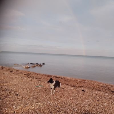 Pippodevito's profile picture. 