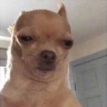 MarcMartin2009's profile picture. 