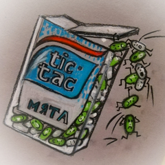 TikTak_12's profile picture. SOTC speedrunner and streamer. Also a big fan of chess!