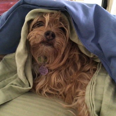 GeraldineTolts2's profile picture. My move to Barcelona has been the best ever. As we all know, nothing in life is perfect, BUT we are pretty darn close where I live.