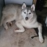 wayne_shads4826's profile picture. 